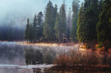 dağ gölü Synevyr sabah ışık ve sis