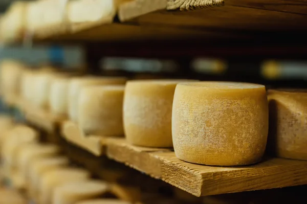 Ruote di formaggio in un magazzino di maturazione — Foto Stock