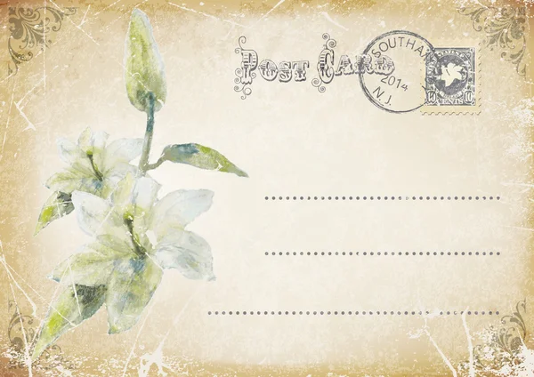 Vintage cartão postal com flores —  Vetores de Stock