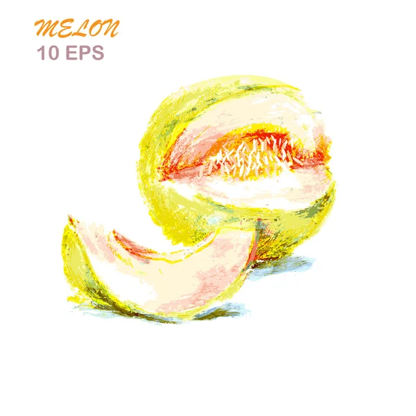 Mão colorida desenhada de melão — Vetor de Stock
