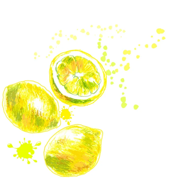 Dibujado a mano de limones aislados — Vector de stock