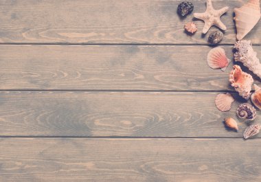 Deniz kabukları ile yaz arka plan.