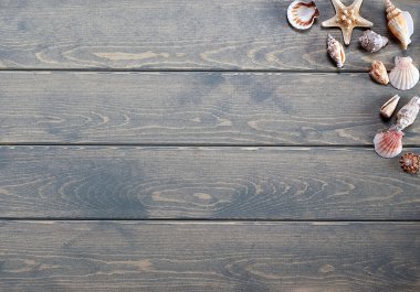 Deniz kabukları ile yaz arka plan.