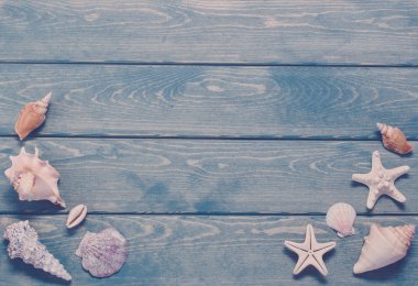 Deniz kabukları ile yaz arka plan.