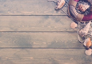 Deniz kabukları ile yaz arka plan.