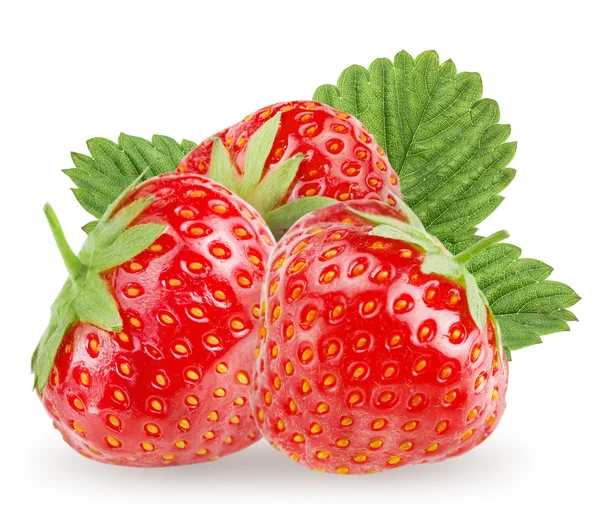 Wenige Erdbeeren auf weißem Hintergrund. — Stockfoto