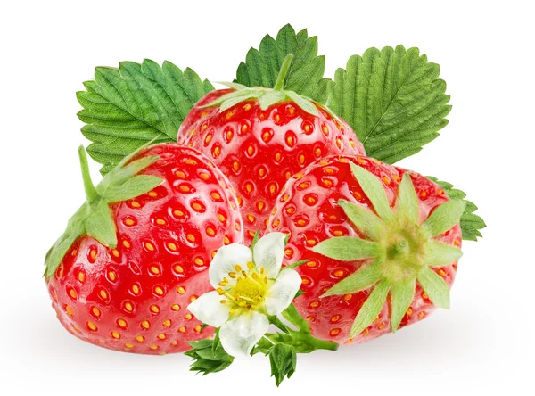 Few strawberry on white background. — Stock Fotó