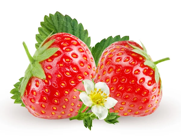 Few strawberry on white background. — Stock Fotó