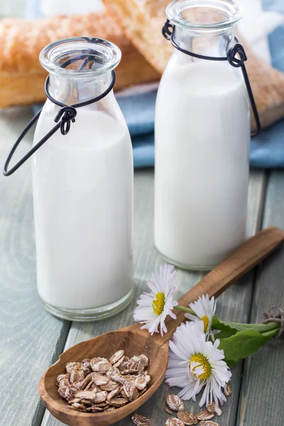 牛乳を屋外で光夏の朝食 — ストック写真
