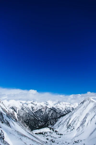 Prachtig landschap van bergen. — Stockfoto