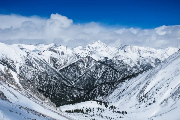 Schöne Landschaft der Berge. — Stockfoto