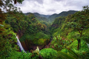 Kosta Rika 'daki dağları çevreleyen Catarata del Toro şelalesi