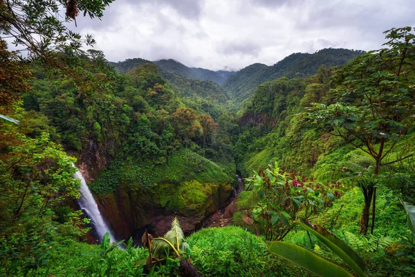 Cascade de Catarata del Toro avec montagnes environnantes au Costa Rica — Photo