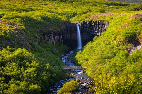 Cachoeira Svartifoss no Parque Nacional Vatnajokull, Islândia — Fotografia de Stock