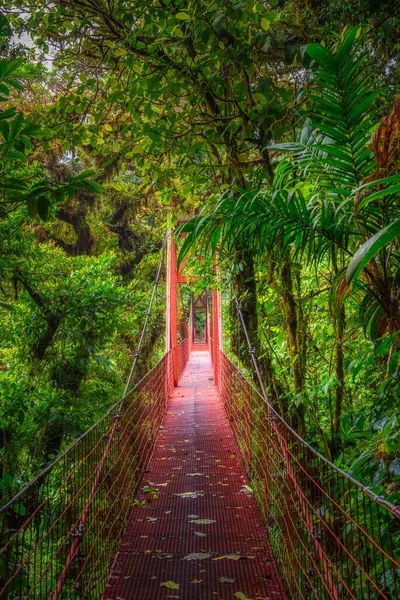 Red suspension bridge in Monteverde Cloud Forest, Costa Rica — Stock Photo, Image