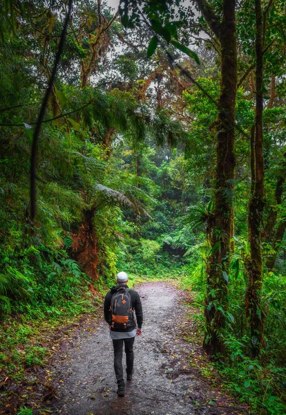Promenade touristique dans la jungle de la forêt nuageuse de Monteverde, Costa Rica — Photo