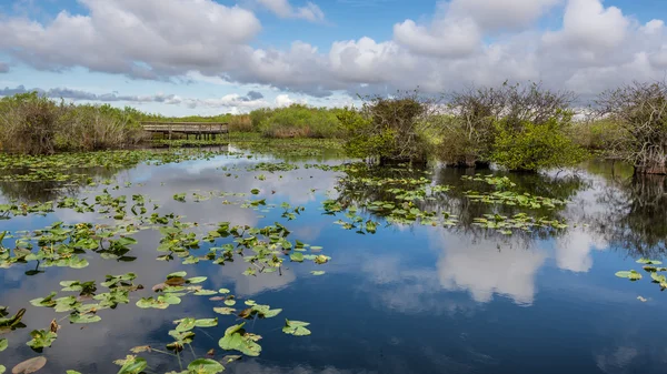 Tó és az Everglades sétánya — Stock Fotó