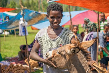 Ethiopian boy with his donkey at a market  in Ethiopia clipart