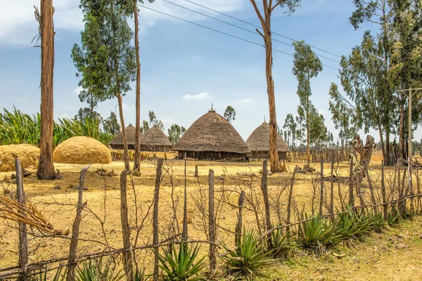 Casas tradicionais em África, Etiópia — Fotografia de Stock