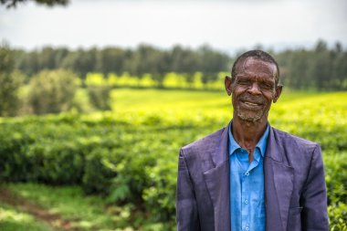 Ethiopian farmer on a tea plantation near Jimma, Ethiopia