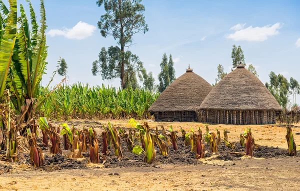 Traditional village houses in Ethiopia — Stok fotoğraf