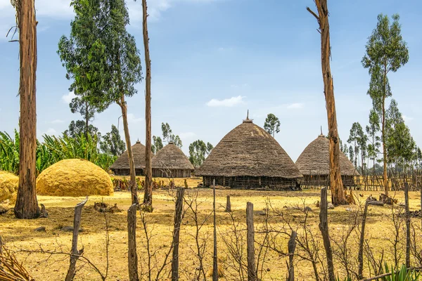 Casas tradicionales en Etiopía, África — Foto de Stock