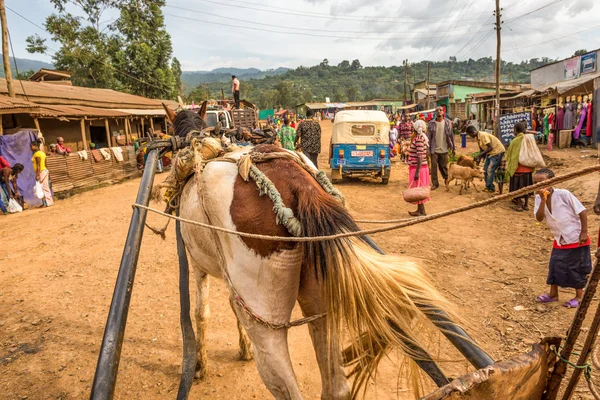 Horse pulling a cart accross a street in Mizan Teferi, Ethiopia — Zdjęcie stockowe