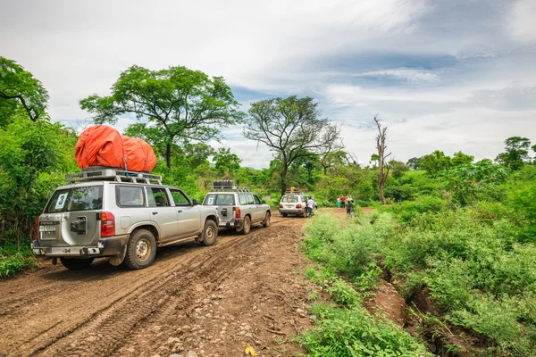 Expedition in the rainforest of southern Ethiopia — Stock Photo, Image