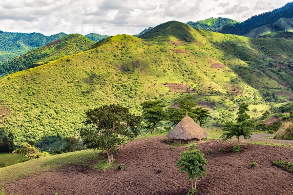 Хижина в лесном заповеднике Бонга на юге Эфиопии — стоковое фото
