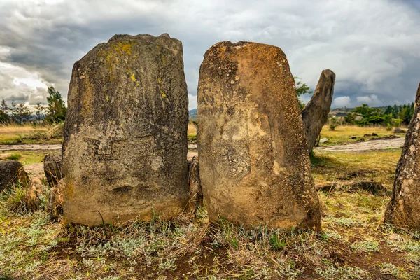 Megalitik Tiya taş sütunlar, Addis Ababa, Etiyopya — Stok fotoğraf