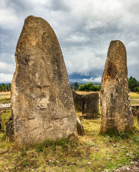 Megalitycznych w odcinku kamiennymi filarami w pobliżu Addis Abbaba, Etiopii — Zdjęcie stockowe