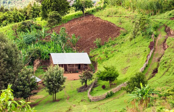 Cabaña en la reserva forestal de Bonga en el sur de Etiopía — Foto de Stock