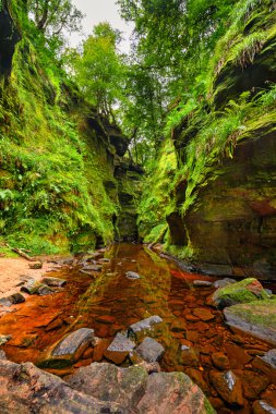 Loch Lomond, İskoçya yakınındaki Finnich Glen