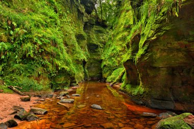 Loch Lomond, İskoçya yakınındaki Finnich Glen