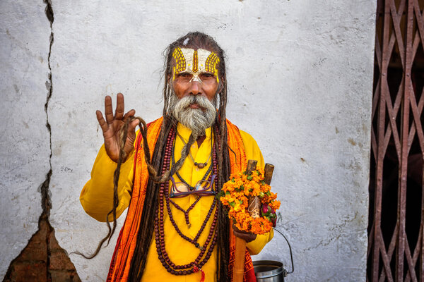 Wandering  Shaiva sadhu (holy man) shows his long beard