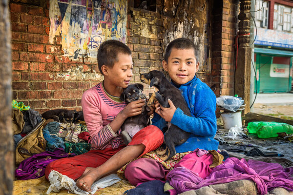 Бездомные дети играют с щенками в Катманду, Непал
