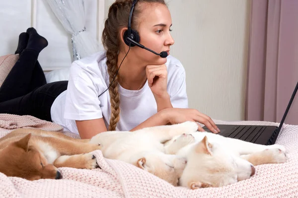 Home office concept, a young woman freelancer working remotely from home, lies with her dog Shiba inu on a bed, using a laptop computer and headphones.