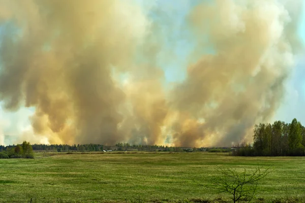 Zuřící Keř Obzorem Oheň Ohrožuje Domy Stojící Okraji Lesa Rozmazané — Stock fotografie