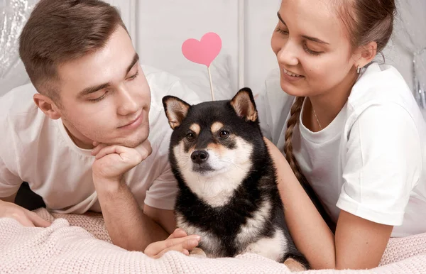 若い女と若い男がソファの上に横になって可愛い犬の柴犬を抱きかかえている 接近中だ 穏やかな 愛の概念 人生の幸せな居心地の良い瞬間 ホームコンセプトに滞在する — ストック写真