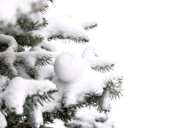 Noel ağacının dalları karla kaplı..