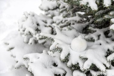 Noel ağacının dalları karla kaplı..