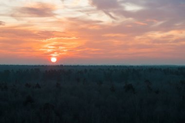 Doğal Günbatımı Orman ya da çayır üzerinde. Parlak güzel gökyüzü ve karanlık yeryüzü. Küçük bulutlar. Soğuk kış sabahı.
