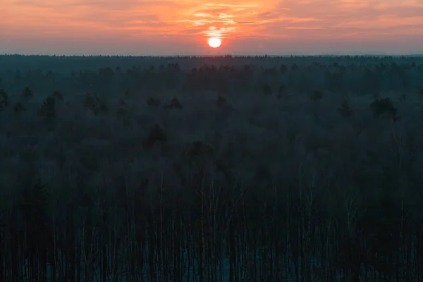 Naturalny Zachód Słońca Nad Lasem Lub Łąką Jasne Piękne Niebo — Zdjęcie stockowe