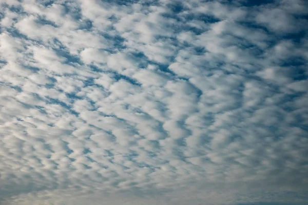 Gökyüzünde Güzel Bulutlar Doğanın Karmaşık Desenleri Sirrus Bulutları — Stok fotoğraf