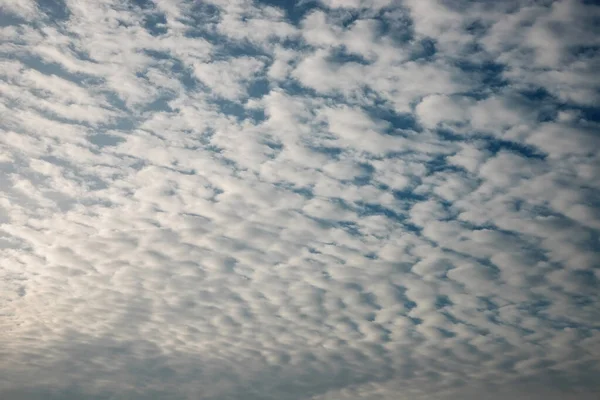 Gökyüzünde Güzel Bulutlar Doğanın Karmaşık Desenleri Sirrus Bulutları — Stok fotoğraf