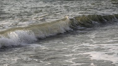 Deniz dalgası yakın çekim. Deniz köpüğü..