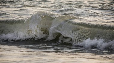 Deniz dalgası yakın çekim. Deniz köpüğü..