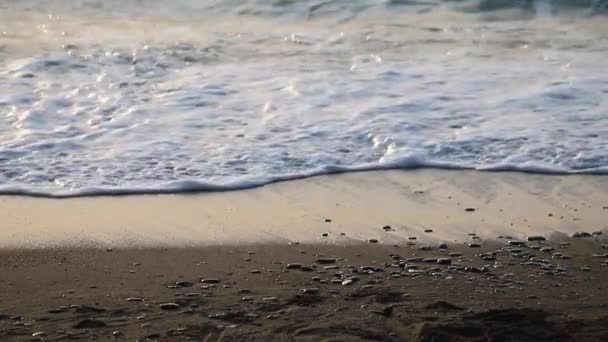 Θάλασσα Ακτή Πέτρες Και Αφρό Βότσαλο Θαλασσογραφία — Αρχείο Βίντεο