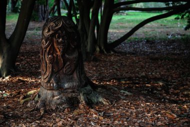 Akşam parkında ağaçların arasında yürürken.