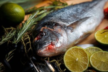 Taze pişmemiş dorado ya da limon dilimleri, baharatlar, şifalı otlar ve sebzeli çipura balığı. Akdeniz mutfağı. 
